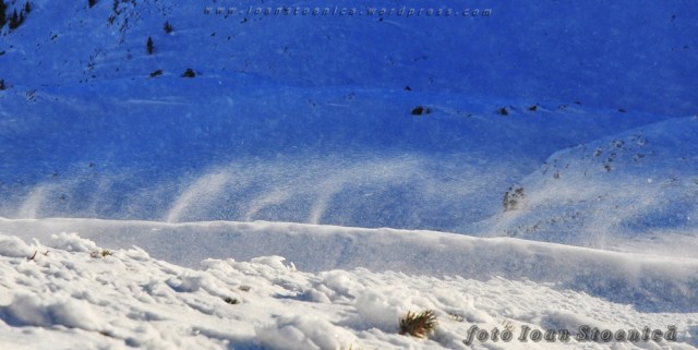 vant si zapada - forme