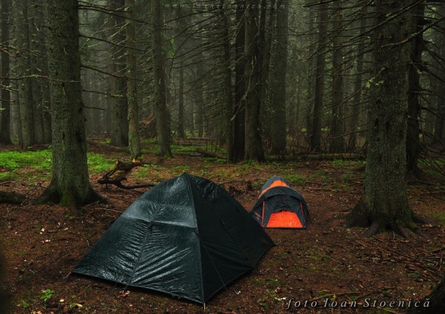 corturi ude in padure