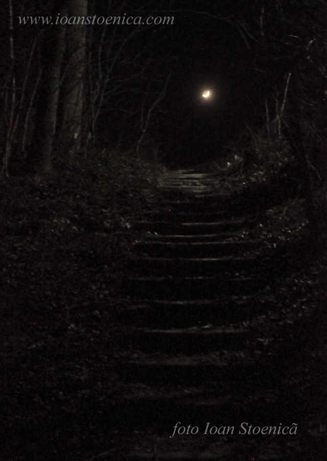 luna pe scari