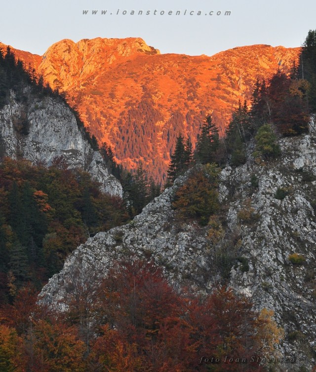 creasta pietrei craiului - rosie la rasarit