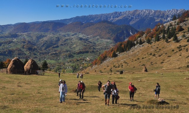 cu grupul in tura foto