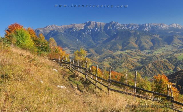 bucegii vazuti din Magura
