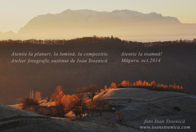 atelier fotografic ioan stoenica