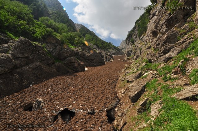 zapada pe valea alba