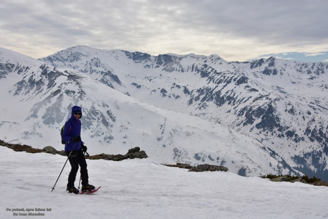 parangul mare pe fundal