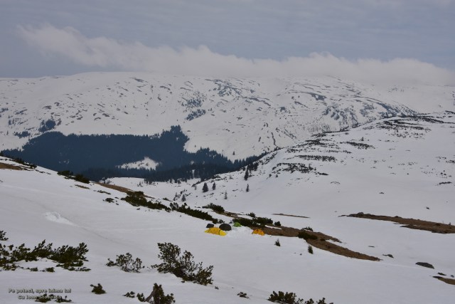 corturi in zapada parang