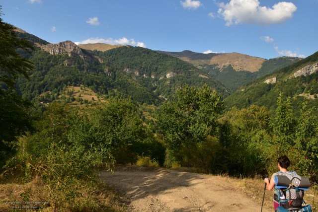 spre Prisacina - muntii cernei